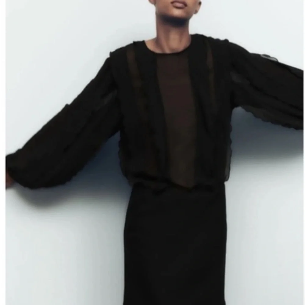Zara Short Ruffle Dress, Sheer Black Long Sleeve, Parties, Dance, Cocktails, M - Picture 3 of 13